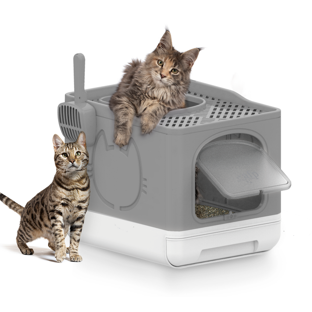 Go Fresh-  Portable Foldable Cat Litter Box