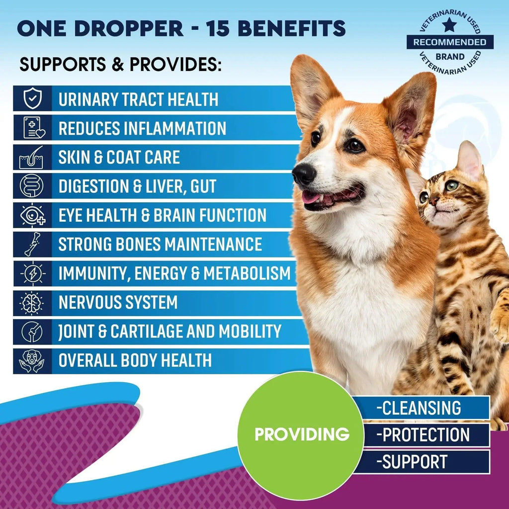 Pet Total Wellness Multivitamin Liquid with Glucosamine & Cranberry